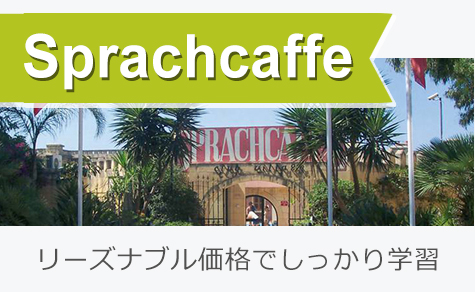 リーズナブル価格でしっかり学習