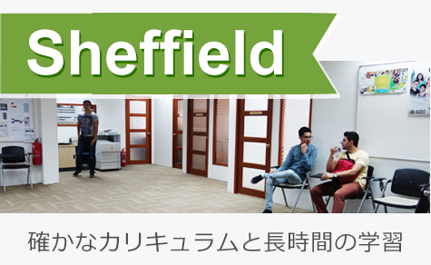 確かなカリキュラムと長時間の学習