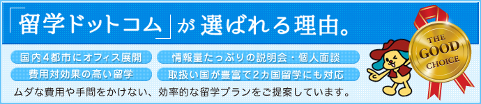 留学ドットコムが選ばれる理由