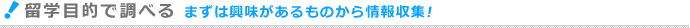 留学目的で調べる
