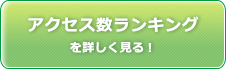 アクセス数を詳しく見る！