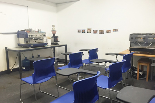 STLA College