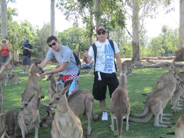brisbane_lsi13