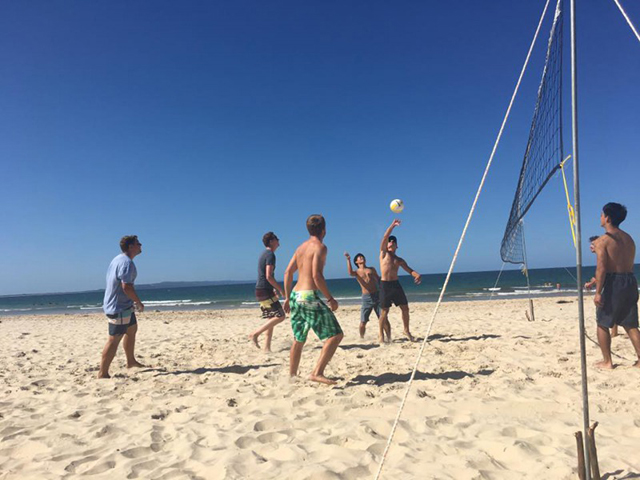 noosa_lexis13