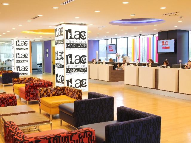 toronto_ilacic01