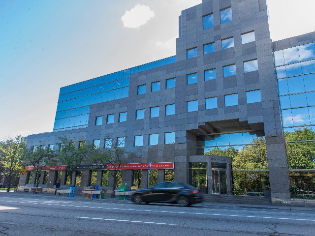 toronto_ilacic06