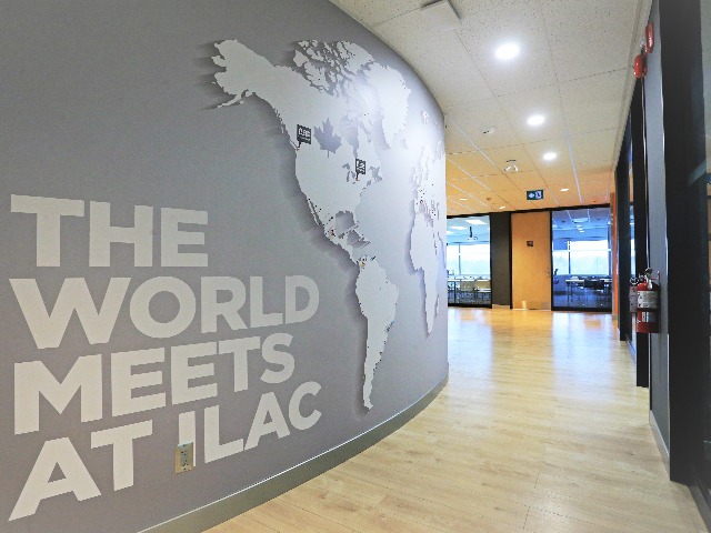 toronto_ilacic14