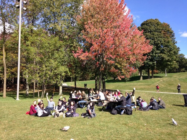 montreal_ymca09