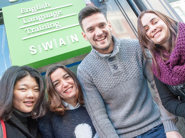 dublin_swan10