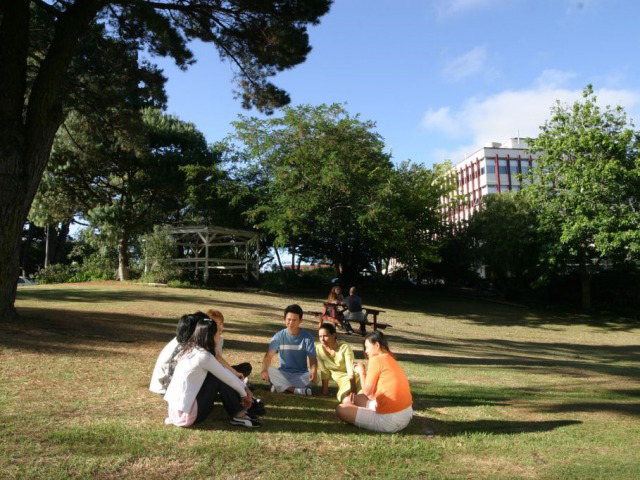 auckland_ais04