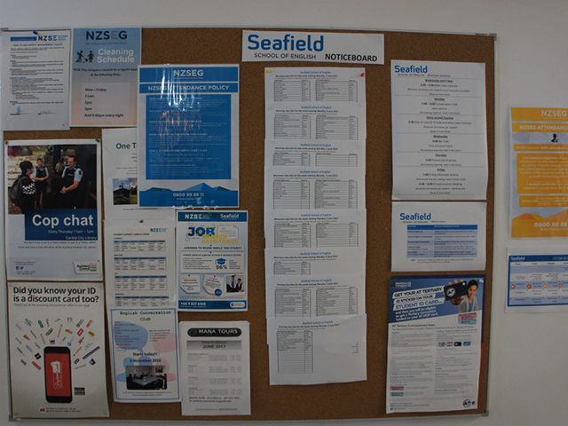 auckland_seafield07