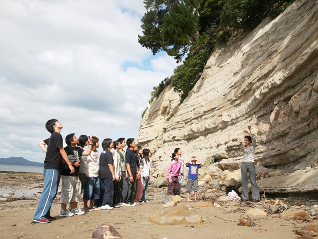 auckland_unique15