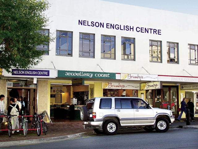 nelson_nec01