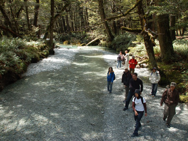 queenstown_abc05
