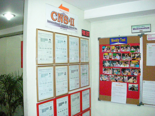 cns06