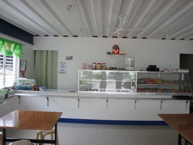 cella13
