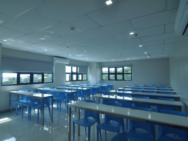 cella203