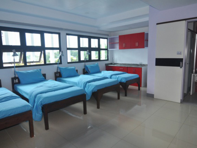 cella206