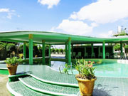 green09
