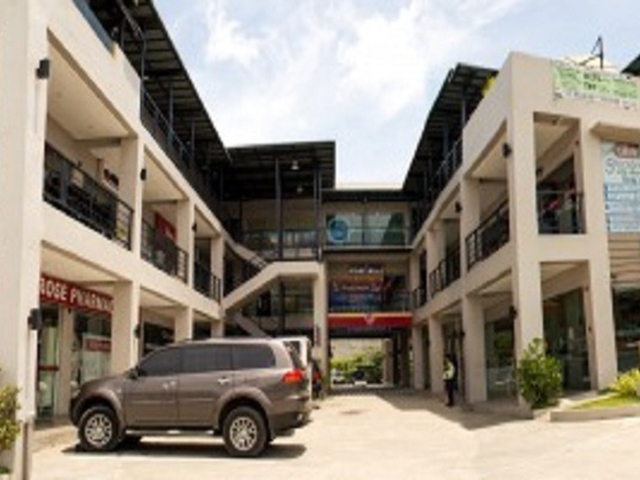 Pacific Tree International Language Academy01