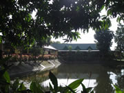 img04