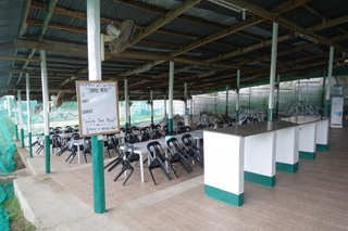 セブエリアでは珍しい広大かつ開放的なキャンパス型スクール