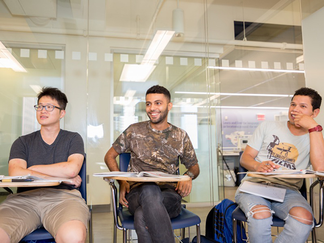 Language Studies International ,New York（LSI）