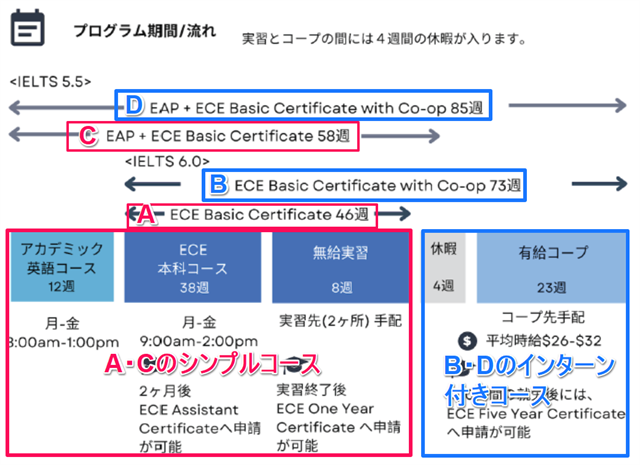 STENBERG Collegeのコース概要図
