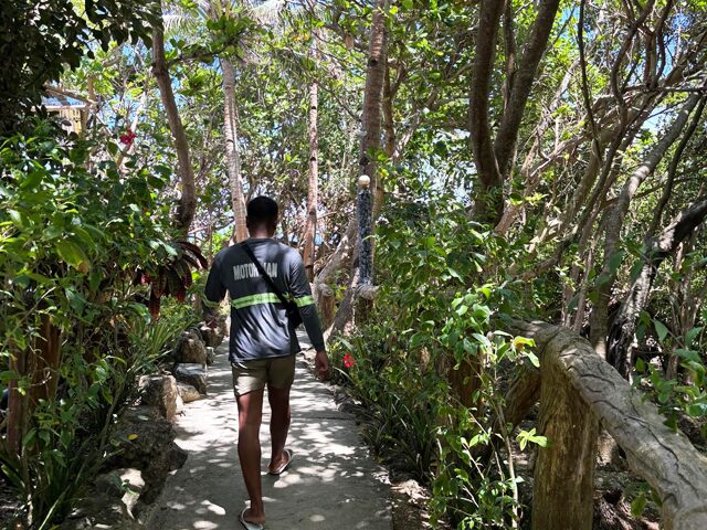 自然豊かなCrystal Cove Islandを歩く