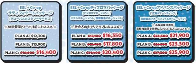 2025年VanWest年内プロモ_Co-opパッケージの費用
